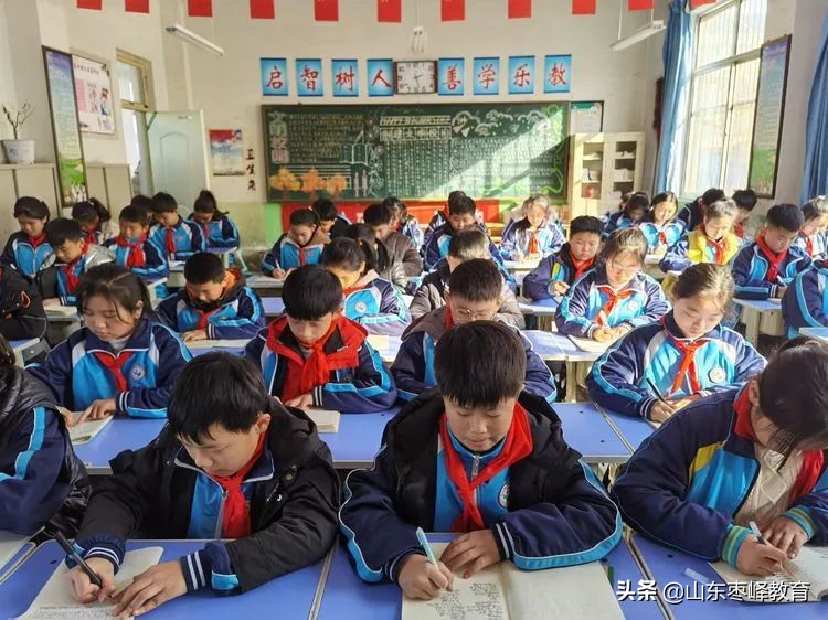 村小落实双减政策提升教学质量,双减政策下的小学教学