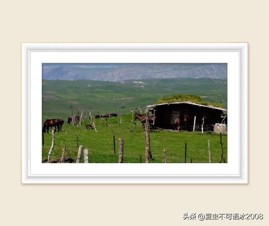 微课在物理教学中的应用,微课在物理教学中的应用论文