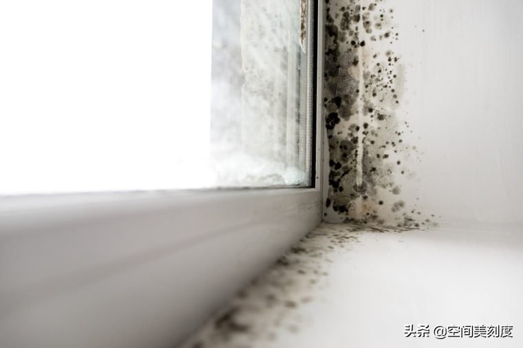 墙上顽固的霉菌怎么处理,怎么清除霉菌生活小妙招