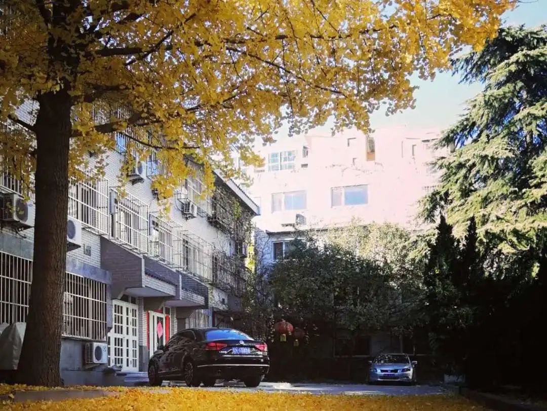 关键之道体育怎么样,关键之道体育