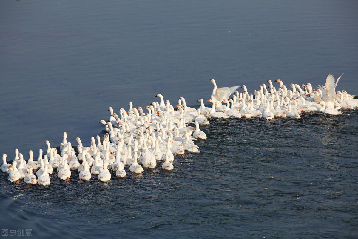 江西南昌50亿元以上项目清单,南昌21个重大项目投产