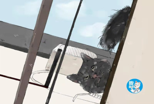 晒被子时发现楼上在滴水,女子正要上去理论,一抬头却无语了