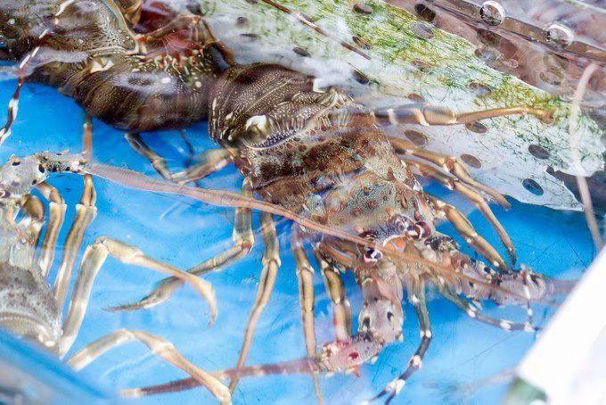 抛开所有的烦恼，奔向快乐无限的海口