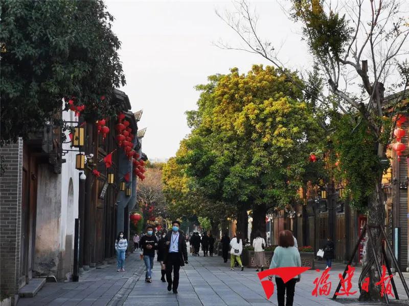 福建春天花海旅游攻略,福建春季游玩好去处推荐