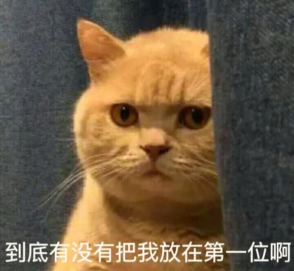 为什么猫咪挑食什么都不吃,为什么有的猫咪什么都吃