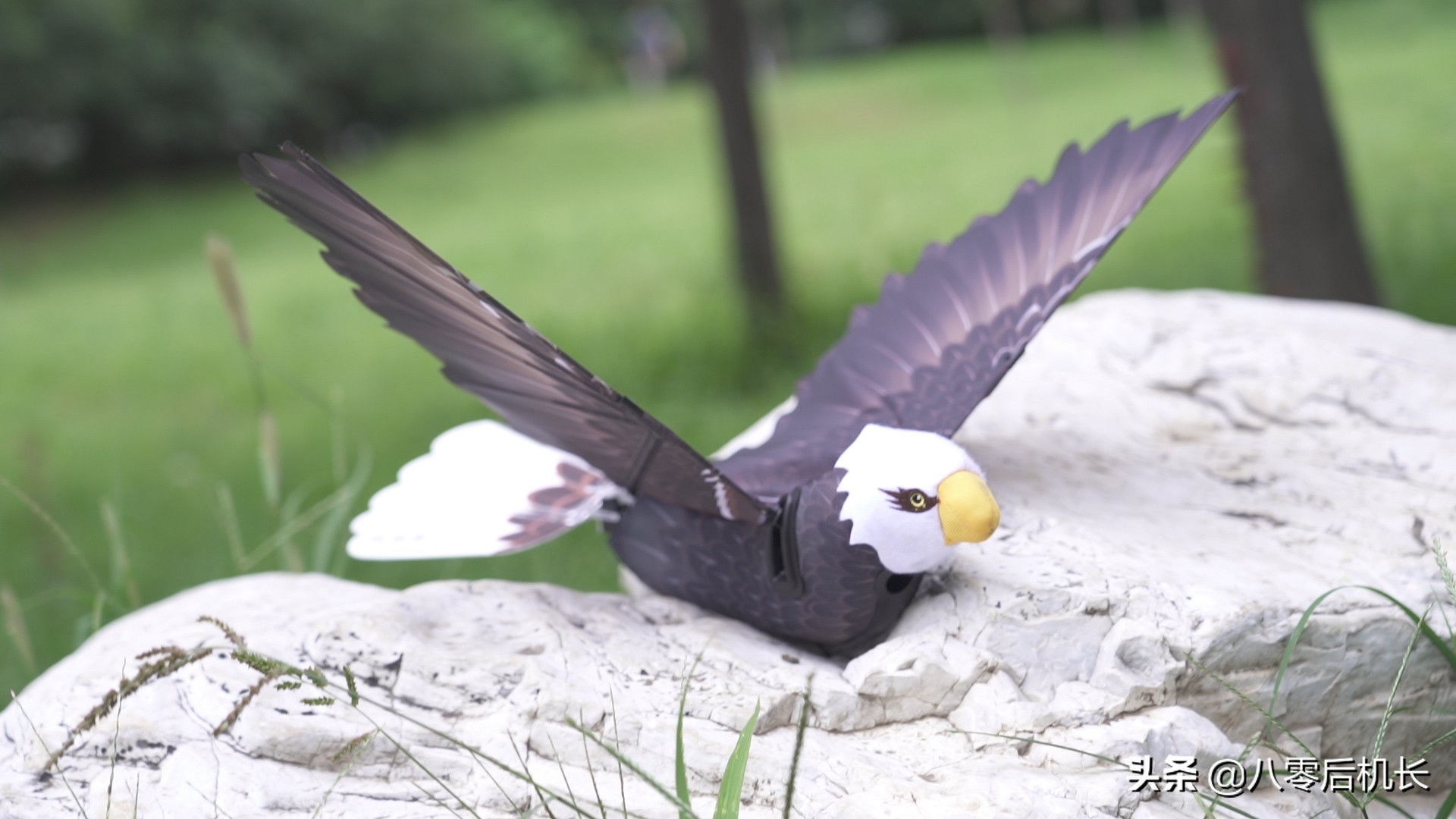 汉王科技重大突破,汉王科技人型机器人