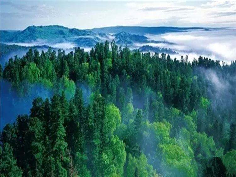 龙江暑期旅游,龙江旅游七日游