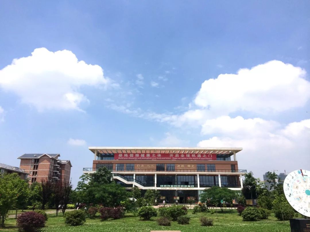 武汉最难学校是哪个,武汉最难进的10所大学