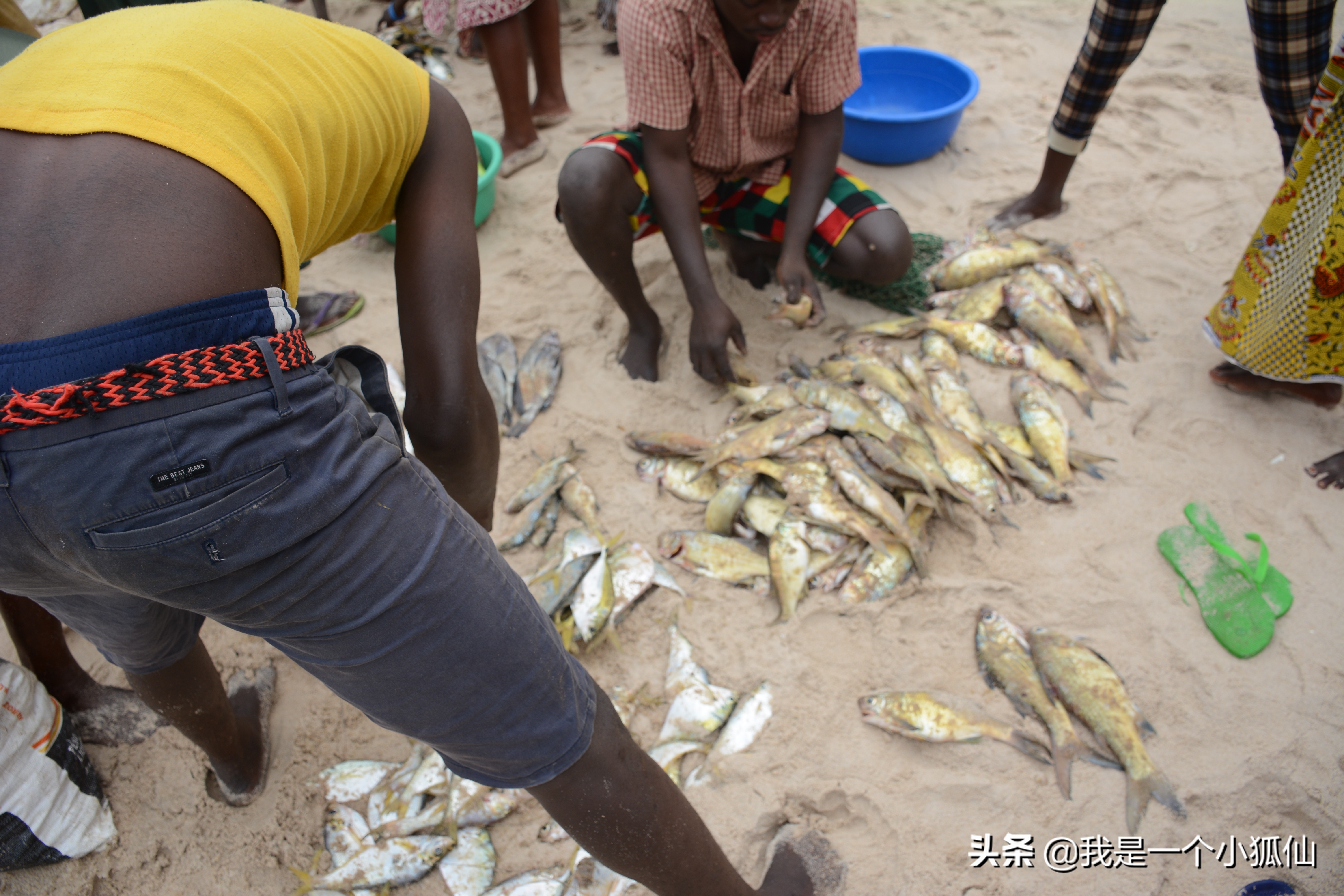 我在安哥拉海边等着驾独木舟打渔的黑人回来，买他们刚捞到的海鲜
