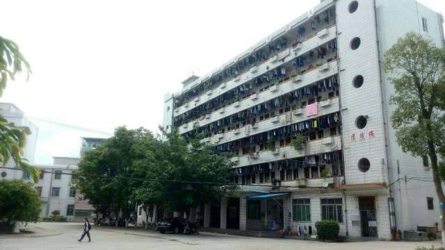 遇见│五华水寨中学，琴江河畔，炽热的青春遇见最好的我们