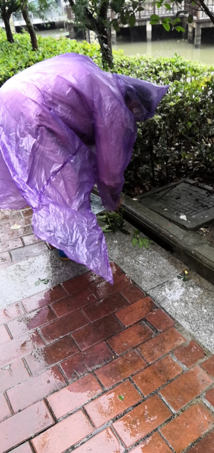 烟花来袭山东众志成城,烟花齐聚上海滩