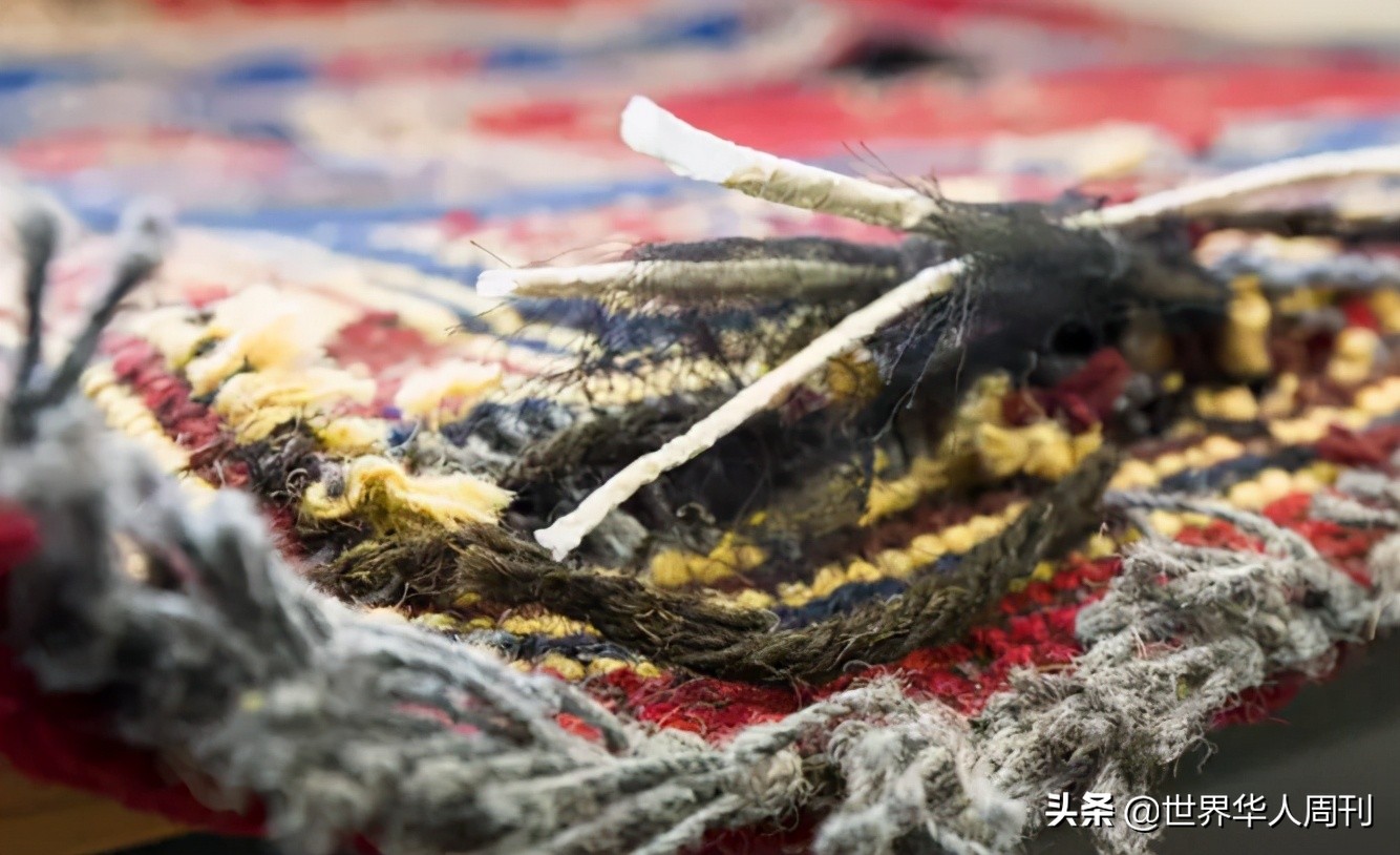 家庭妇女贩毒,女子为爱沦为毒贩