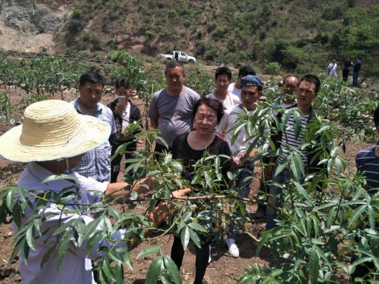 青年红色筑梦之旅直播间,青年红色筑梦之旅直播西瓜视频