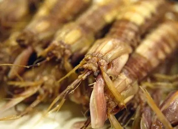 武汉十大必吃烧烤,武汉最好吃的美食店排名