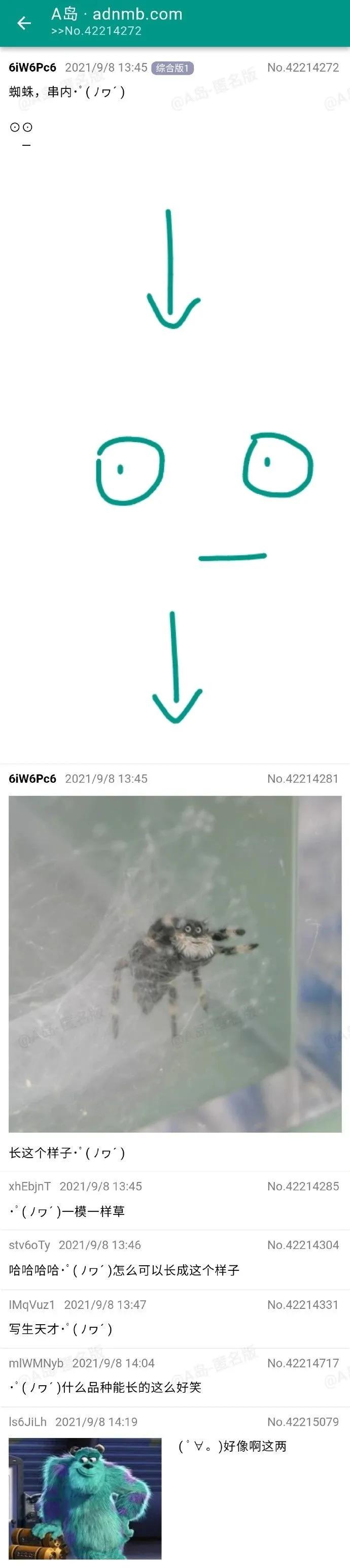 “​男子将活虾塞入尿道，结果小虾游进膀胱……”