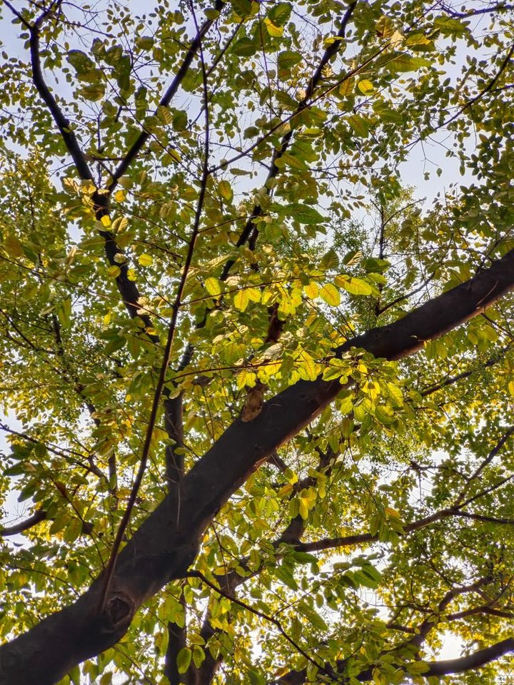 iqoo3全面曝光配置任性问鼎旗舰,iqoo3评测科技美学