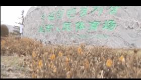 延边富德解散声明,延边富德破产申请