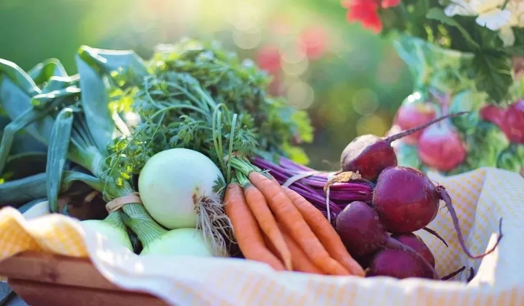 中国有机农业将主导世界，你相信吗