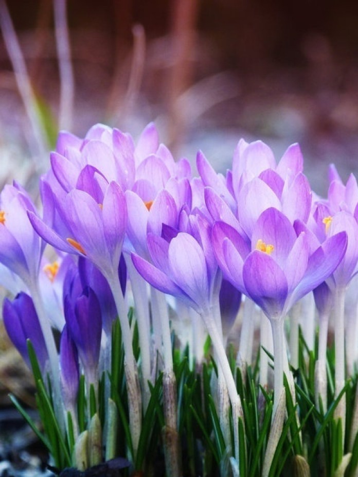 霸气经典说说适合发朋友圈的句子,最近朋友圈很流行的说说句句经典