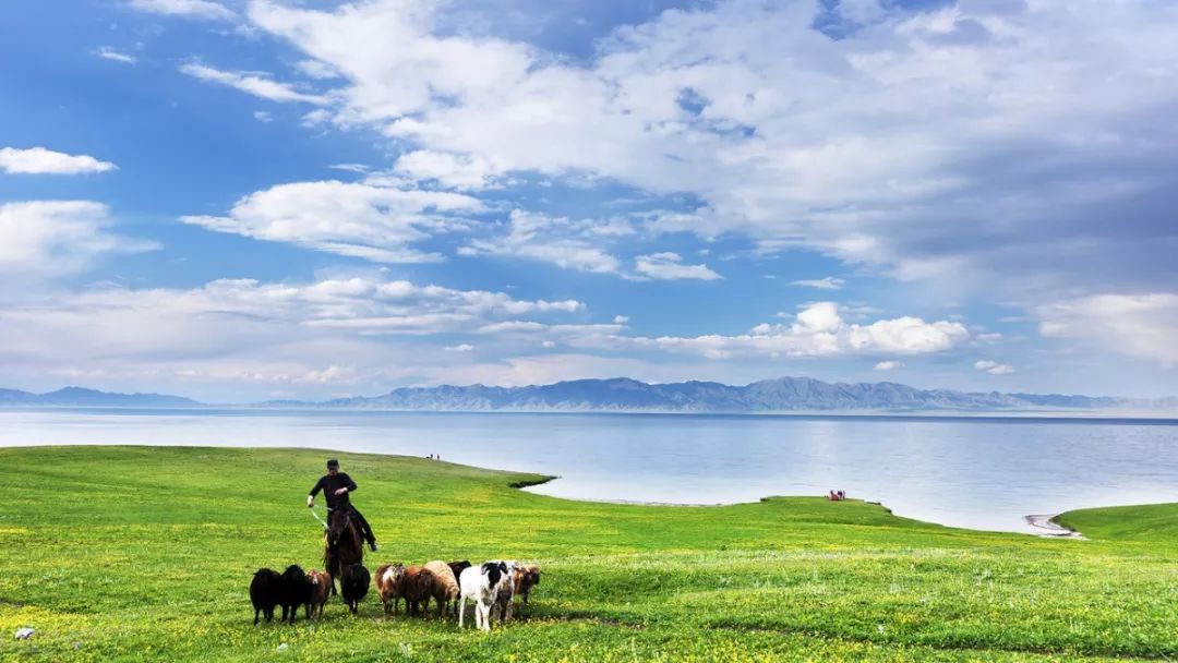 去北京旅行bgm,很多人旅行的bgm