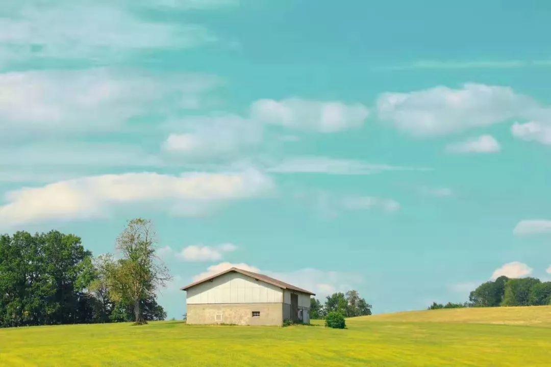 璐㈠姟骞村害鎶ュ憡鎵庡績,璋冧緝璐㈠姟鑷敱鍗佷釜鏍囧噯