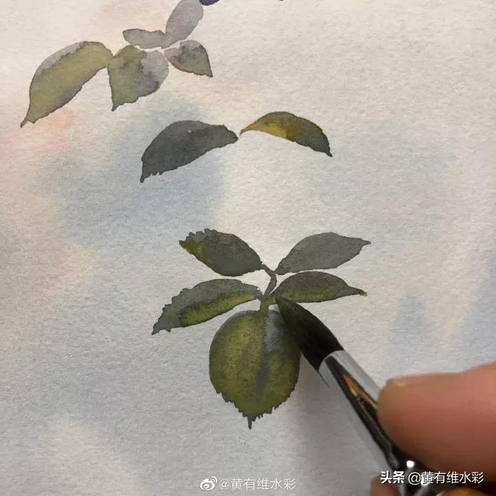 淡蓝色花朵水彩画,蓝色花主题水彩画复杂