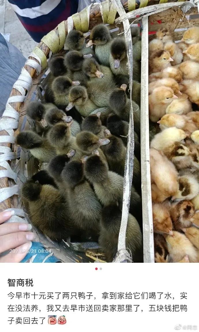 搞笑的冷笑话最好能笑死,非常搞笑的冷笑话大全