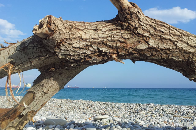 大连夏季海边露营地,大连市区适合露营的景点