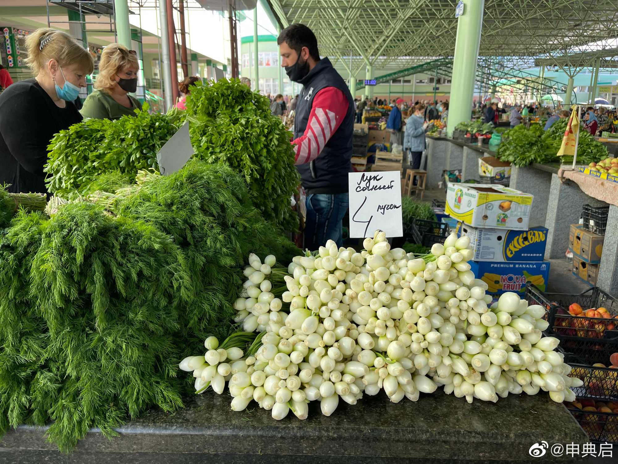 德左共和国是一个怎样的国家,德左共和国地理位置
