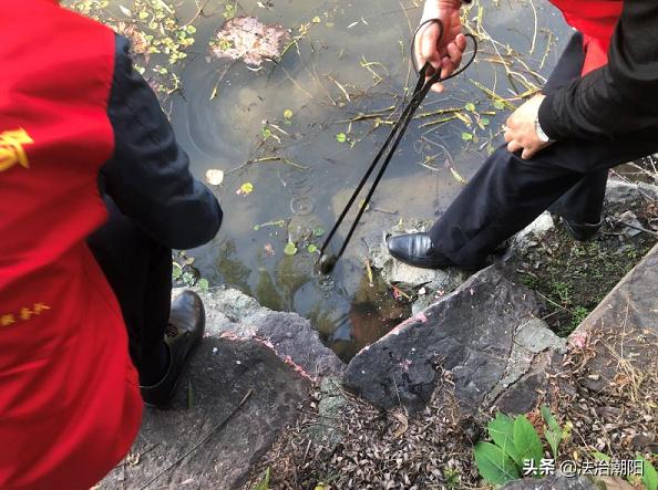 很多食物都有寄生虫,这6种食物或是寄生虫的重灾区
