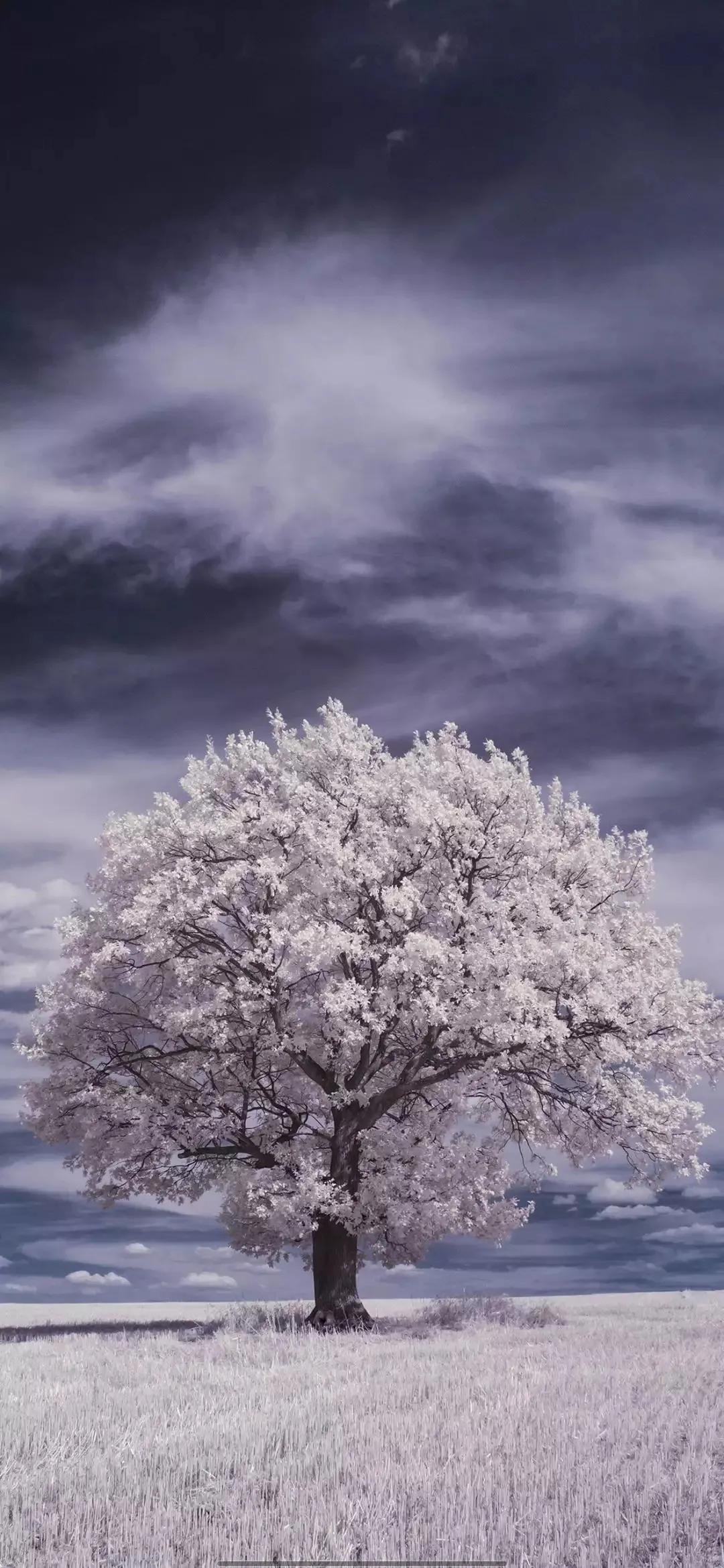 好看的手机壁纸美景,清晰到极致的风景手机壁纸
