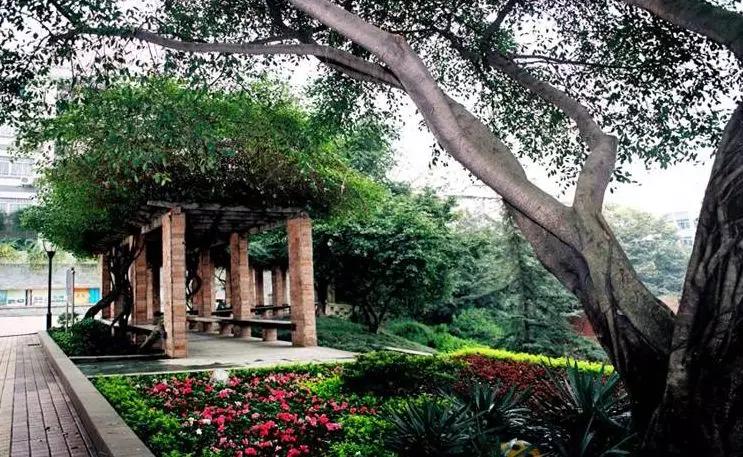 初中报考铁路学校和高中有啥区别,选择铁道学校有什么好处