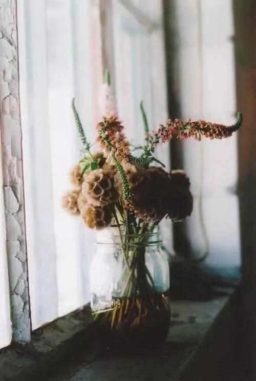 买花的套路和策略,买花的三个陷阱