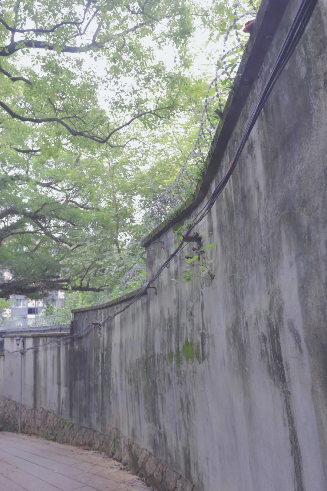 烟台山秋游,烟台夏夜的烟台山