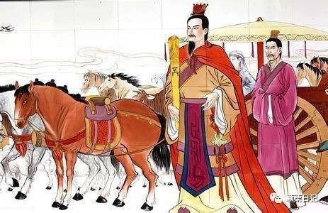 关于白鹭的资料,关于白鹭的资料五年级