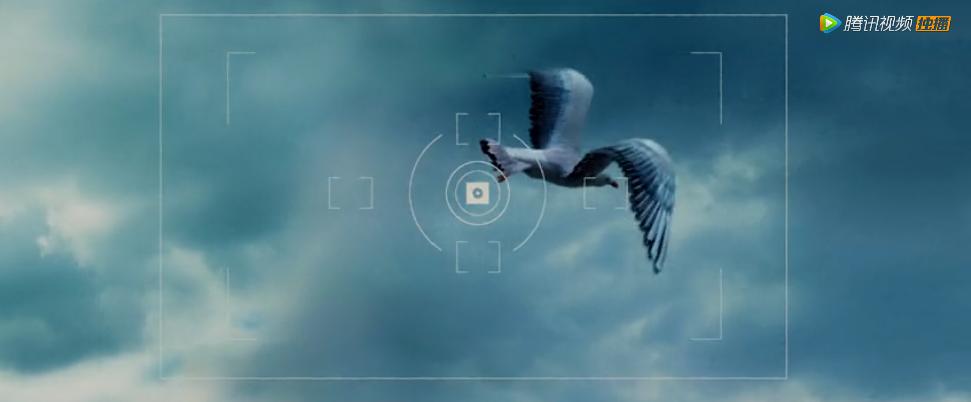 12年来无人超越，这姐妹花，撕得越狠爱越深