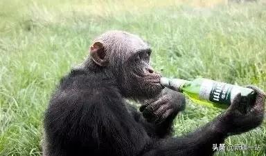 老城回忆乌鲁木齐,乌鲁木齐值得回忆的地方