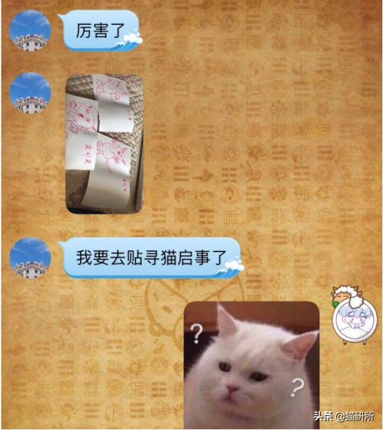 猫咪弓形虫对猫的危害,猫奴弓形虫