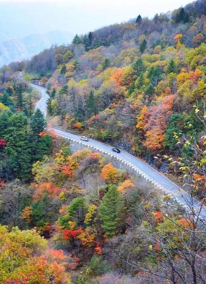 湖北深秋自驾游景点推荐,秋色彩林川西自驾