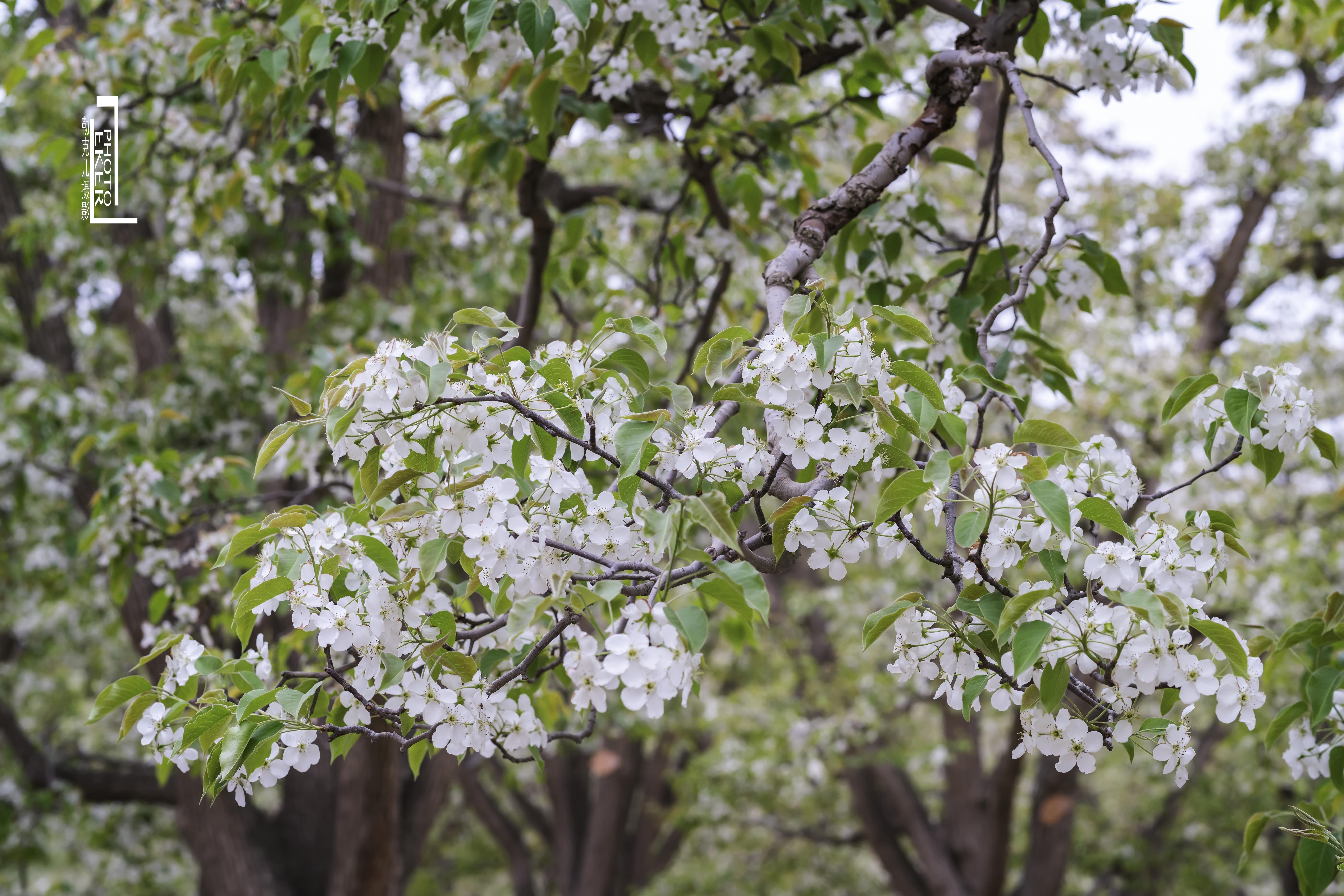 大西北戈壁滩怎么形成的,我国西北地区大戈壁滩形成原因