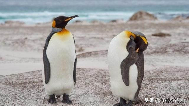 叫醒梦游的人有多可怕,10个冷知识