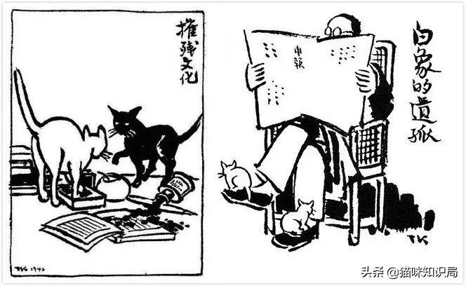 南宋哪位诗人爱养猫曾为猫写诗,南宋哪位诗人养猫还为猫写诗