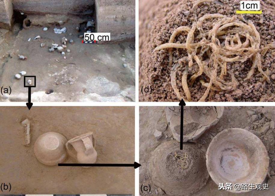 4000多年前，白人与黄人在河西走廊发生了怎样的战争？谁输谁赢？