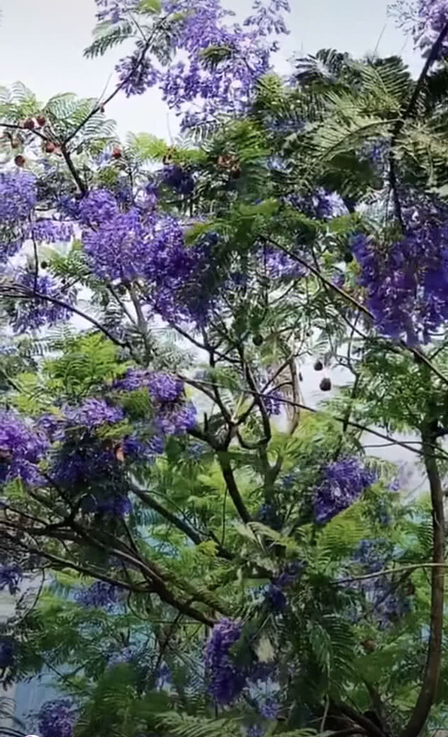 和婆婆吵架公公打电话到我娘家,儿媳妇和公公吵架怎么办