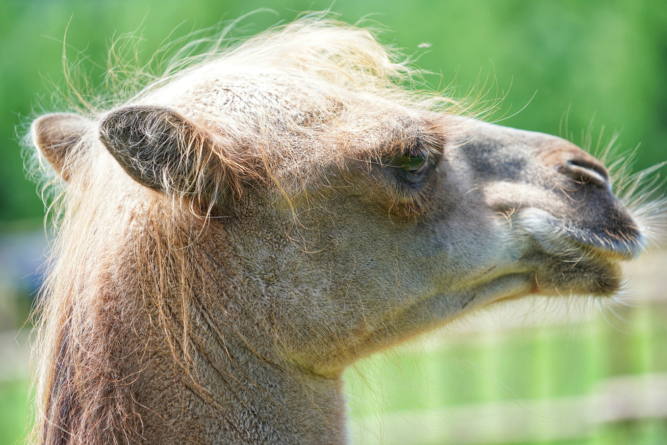 如何对付炎热的高温,炎炎夏日应对冬天