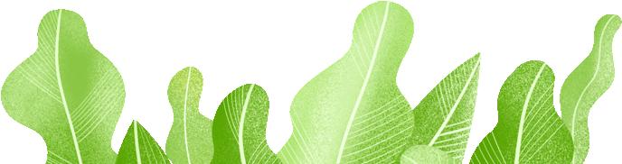 福建省足球示范校,南京市足球后备人才示范学校