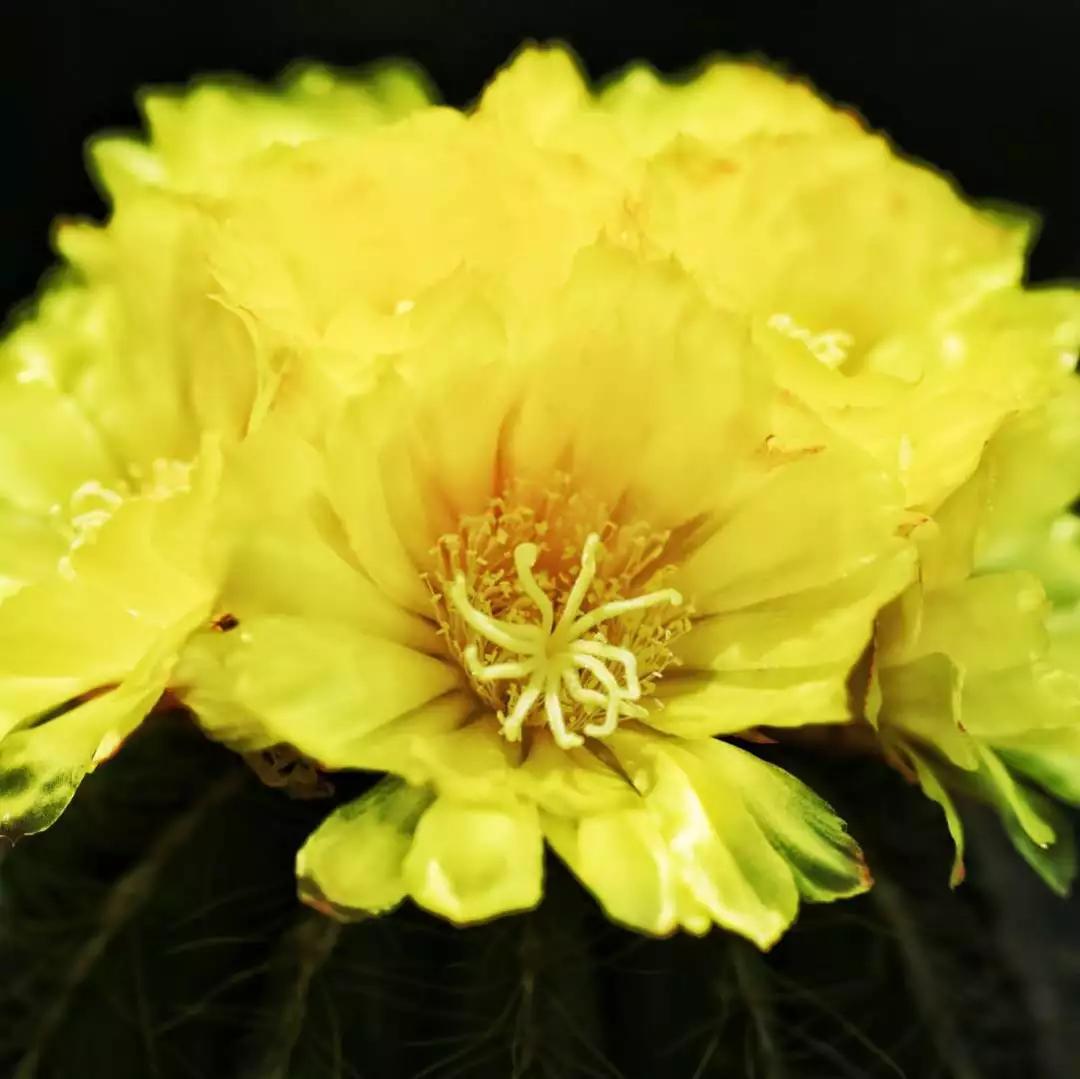 极富哲理的八首经典唐诗赏析合集,唐诗中最有哲理的十首诗