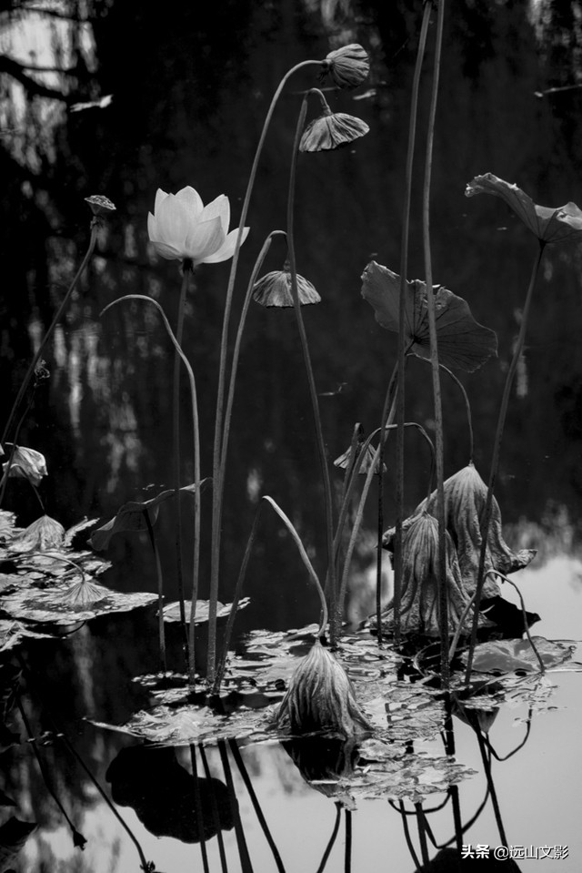 索尼黑卡二怎么拍,索尼黑卡2大光圈拍视频