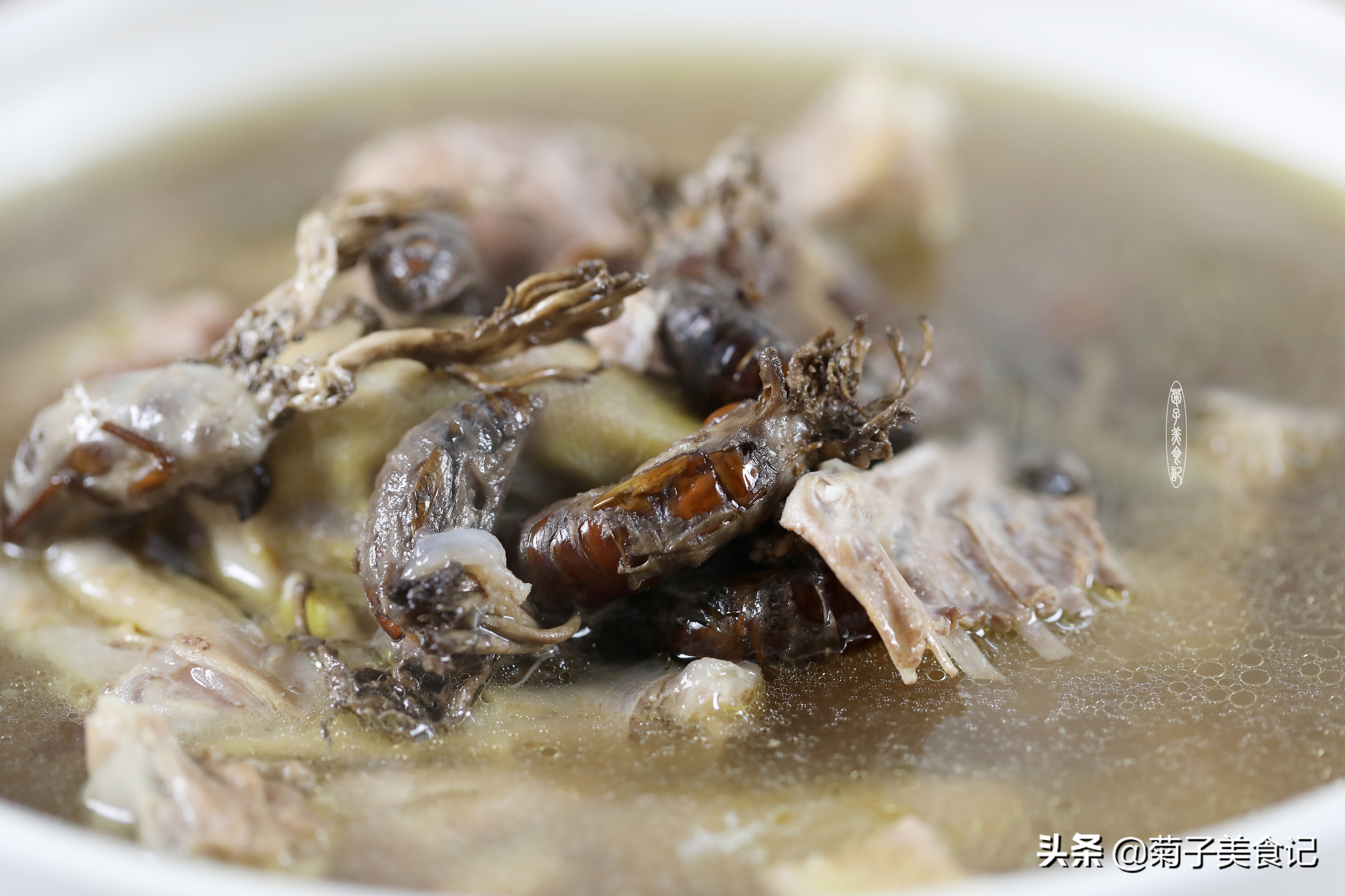 金蝉花炖老鸭的功效,金蝉花能跟什么药材一起煲老鸭汤