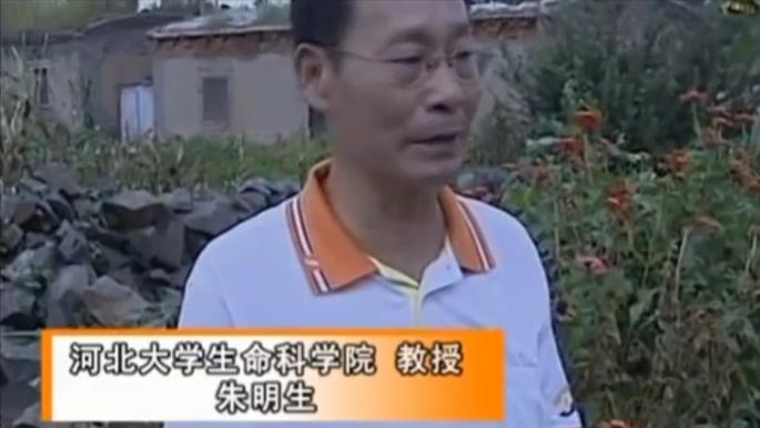 毒蝎进村的真实事件,毒蝎进村的真实原因